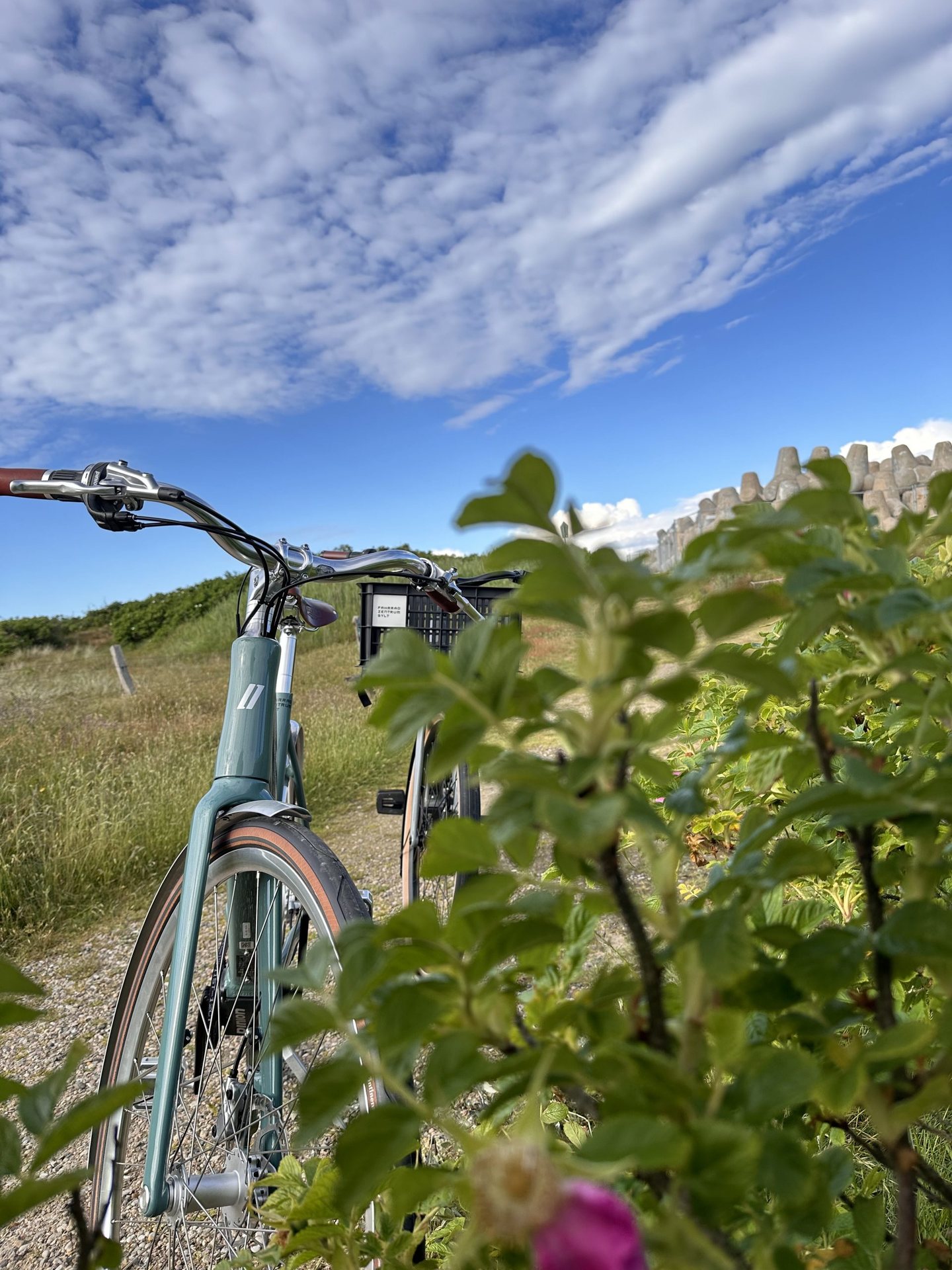 UNSERE E-BIKES  – Ansicht 2