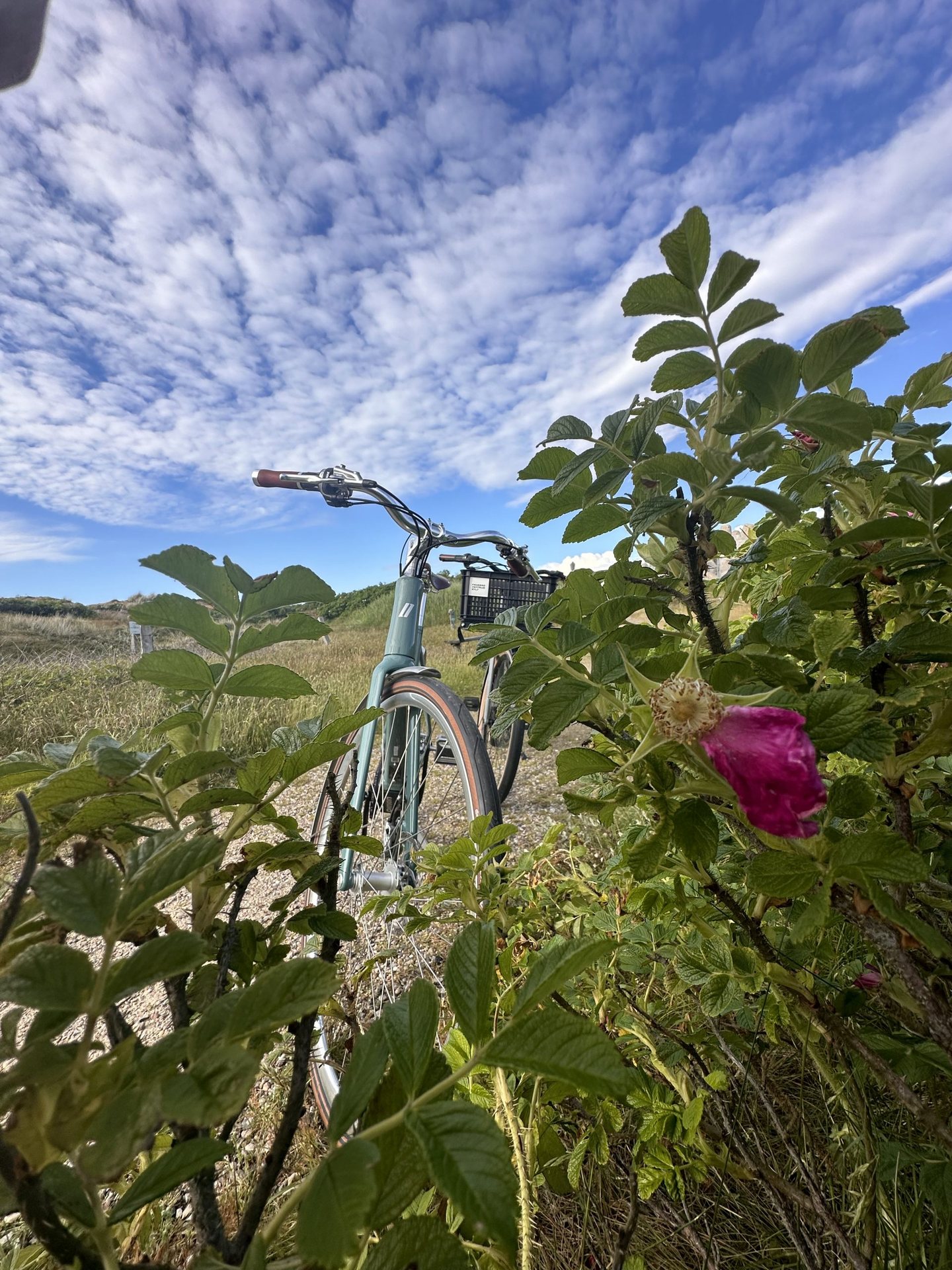 UNSERE E-BIKES  – Ansicht 1